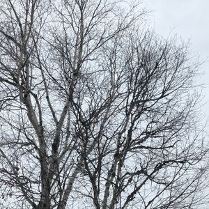 Meet your Posher, Alexa